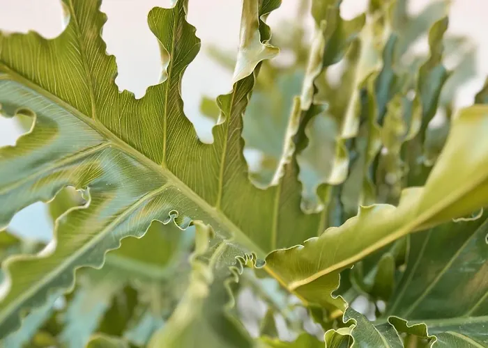 Katana Апарт-отель 3*