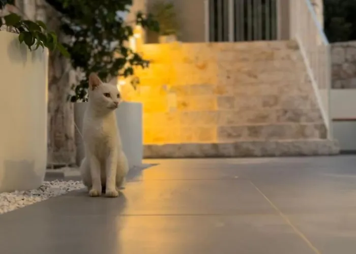 Katana Апарт-отель 3*